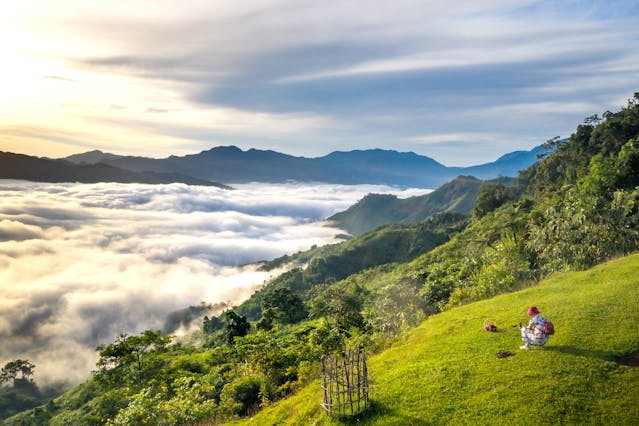 Природа и движение